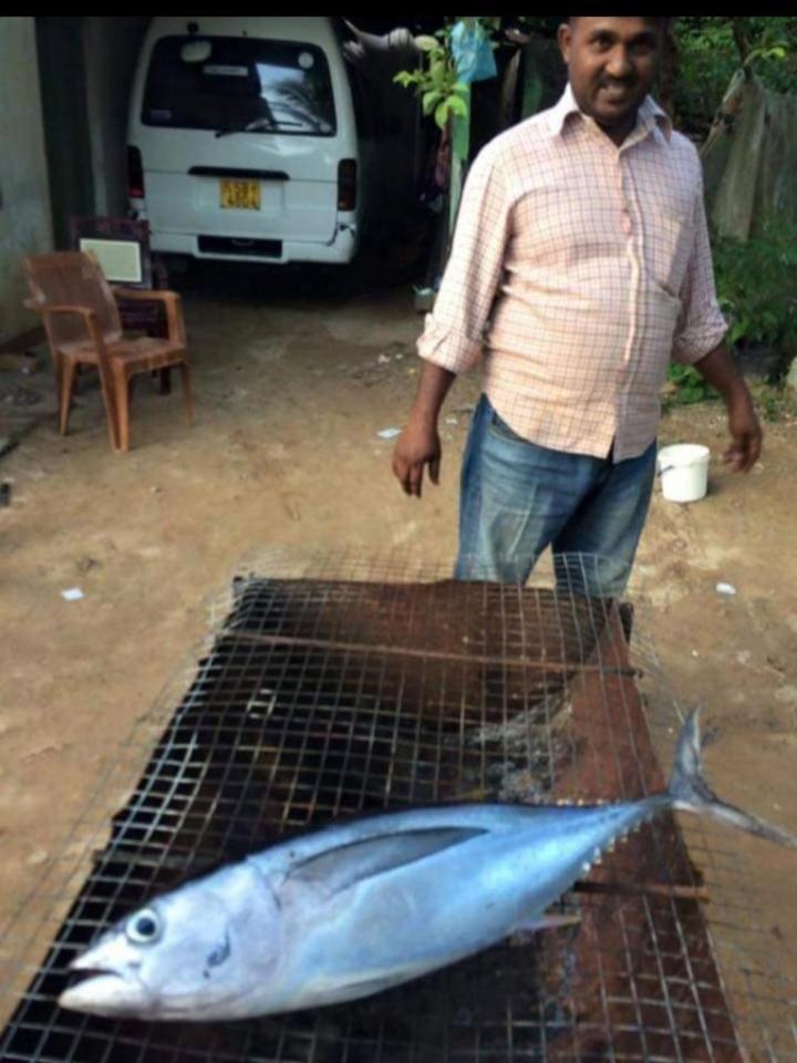 Sandaru Surffing Inn Weligama Eksteriør bilde