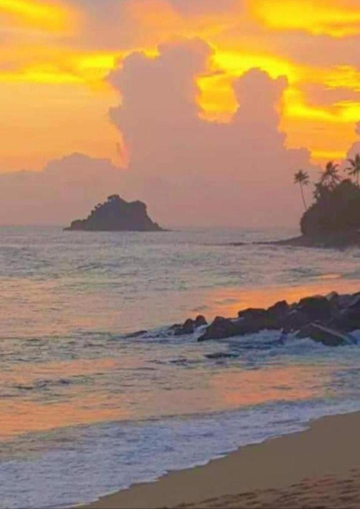Sandaru Surffing Inn Weligama Eksteriør bilde