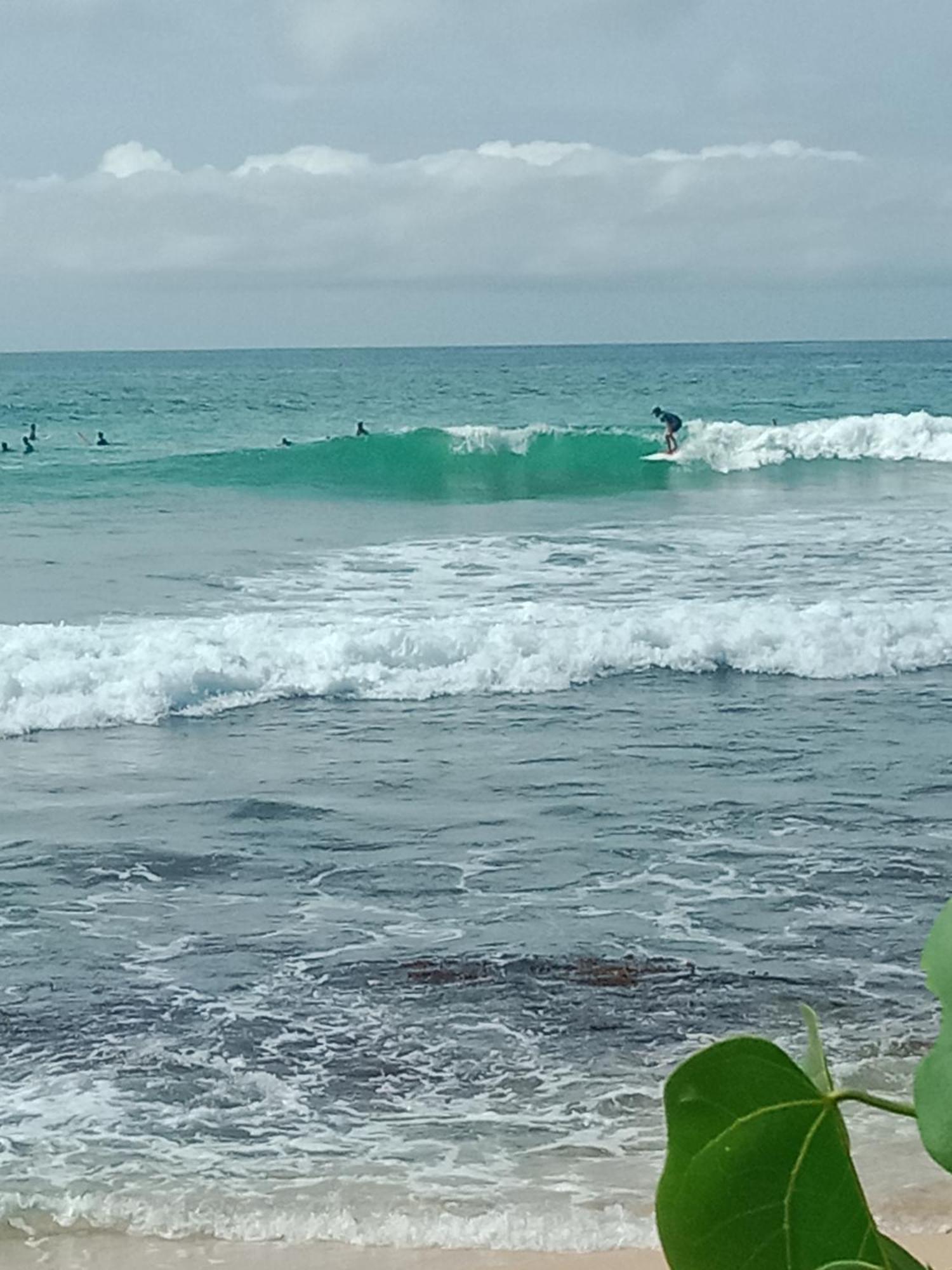 Sandaru Surffing Inn Weligama Eksteriør bilde