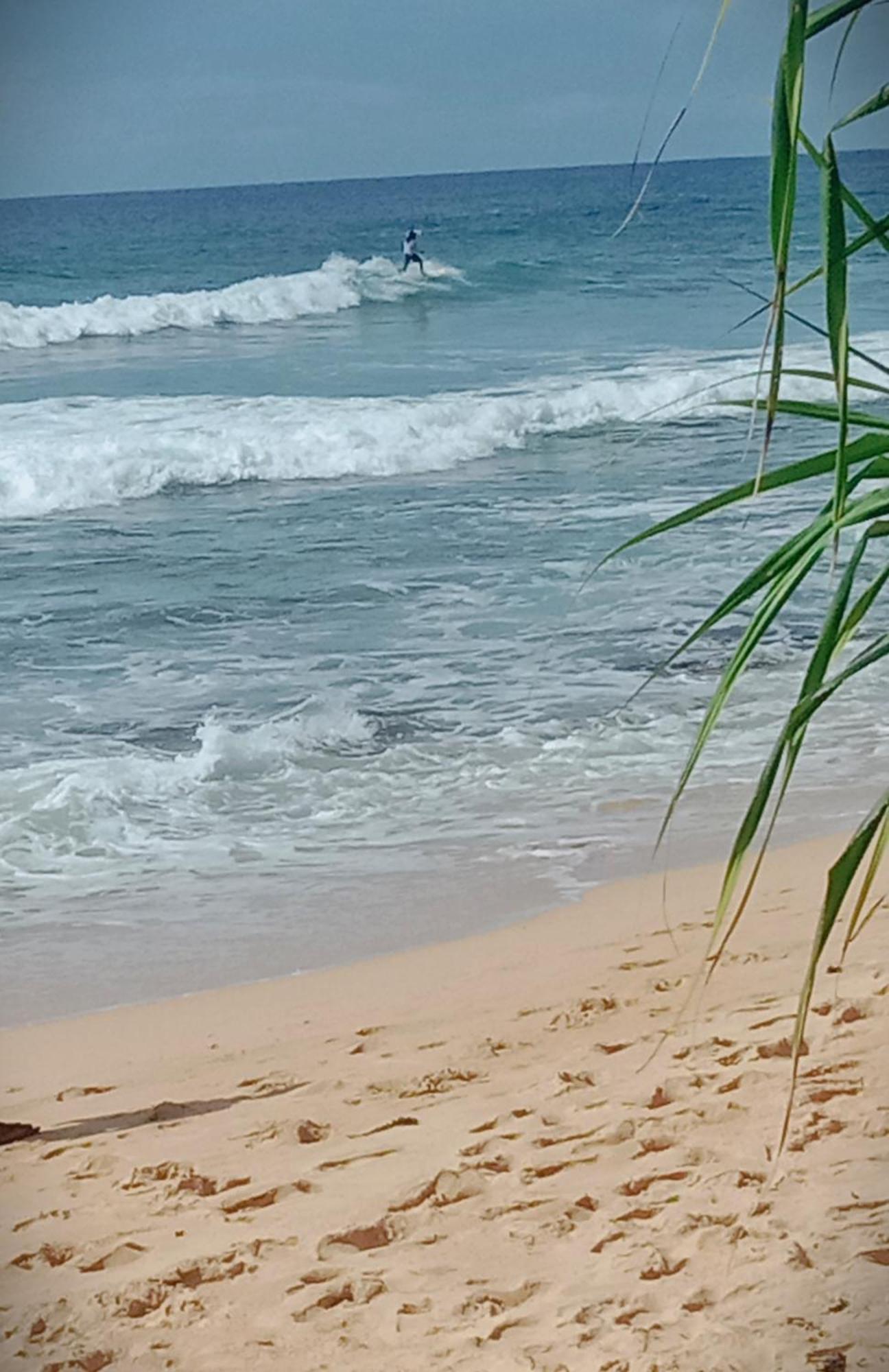 Sandaru Surffing Inn Weligama Eksteriør bilde